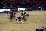 Quadrille - 00679